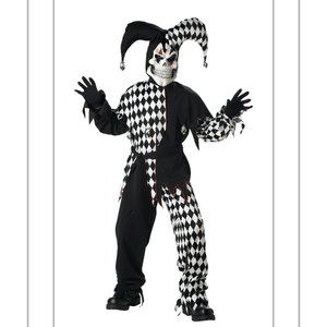 Child  Size  XL 12-14  Spirit Halloween Evil Jester